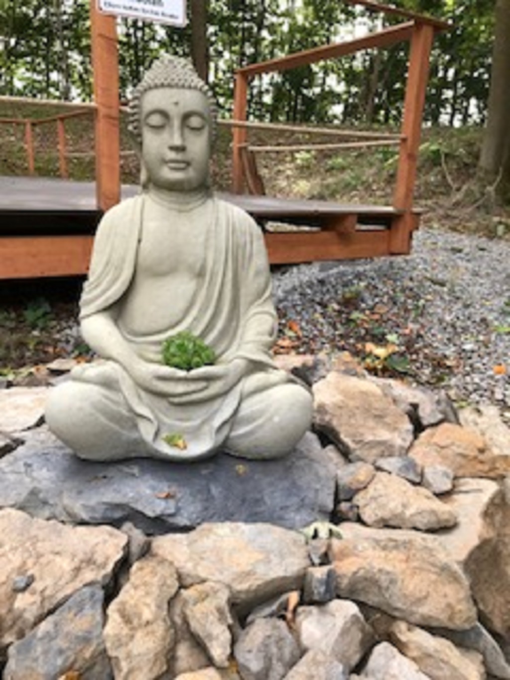 Buddha 80